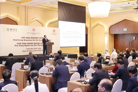 Delegates explore financial, regulatory frameworks for Vietnam’s green transition