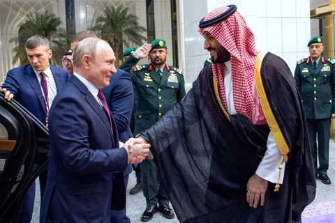 Vladimir Putin's diplomatically successful strike