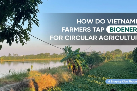 [Longform] How do Vietnamese farmers tap bioenergy for circular agriculture?