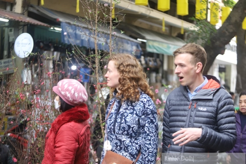 Hanoi to set up 83 spring flower markets in  run-up to Tet