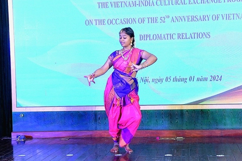 Vietnam, India boost cultural exchange