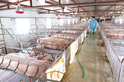 Vietnamese livestock exports to reach $3-4bn by 2030