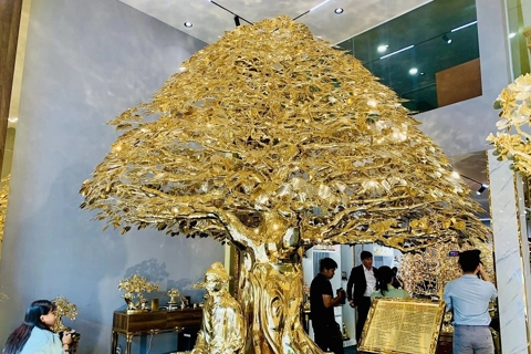 Vietnam news in brief - January 7