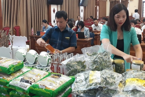 Over 1,000 agricultural products showcased at OCOP trade fair in Hanoi suburb