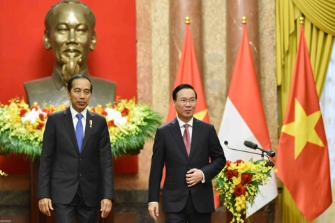 Vietnam, Indonesia look for higher relationship status