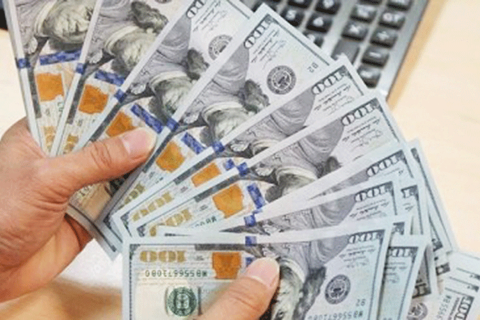 USD/VND exchange rate set to stabilize in second half of 2024