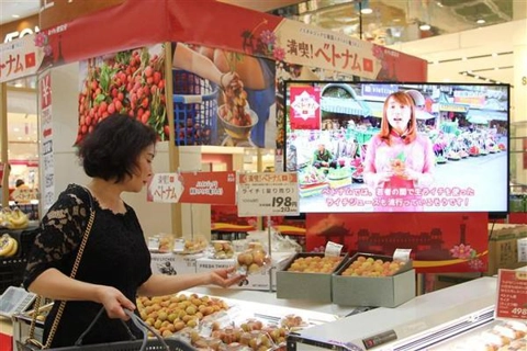 Hanoi boosts businesses' export via foreign distribution networks