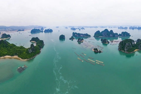 Vietnam news in brief - February 19
