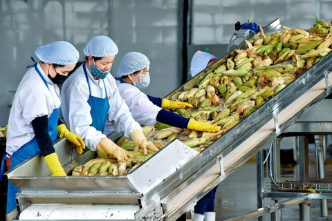 Vietnam’s fruit exports gain momentum in early 2024