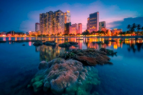 Vietnam Art Photo Competition and Exhibition 2024 opens