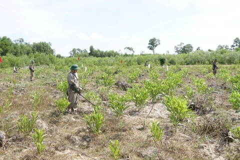 Vietnam completes national database to tackle legacy of war