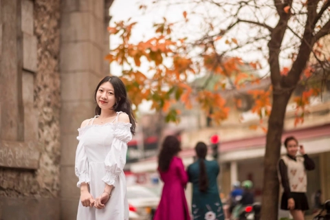 Enchanting beauty of changing foliage in Hanoi