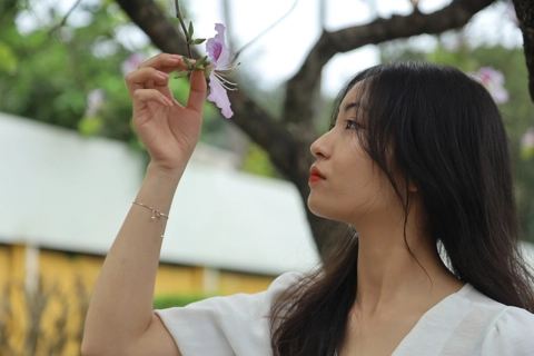 Brilliant Hanoi streets in Ban Flower season