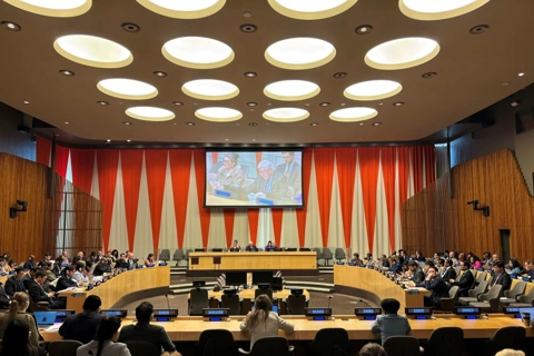 Vietnam elected to UN Women’s Executive Board