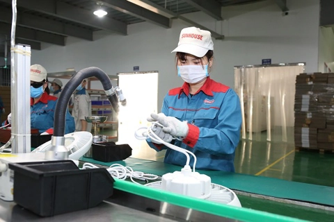 Vietnam among Asia-Pacific's fastest growing economies: FedEx