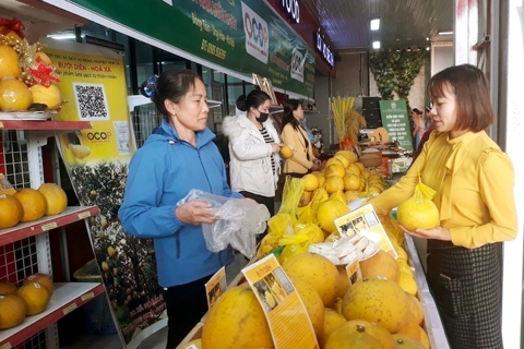 Hanoi aims to lead the country in exporting OCOP products