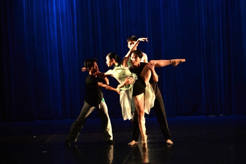 Vietnamese contemporary ballet celebrates Europe Day 