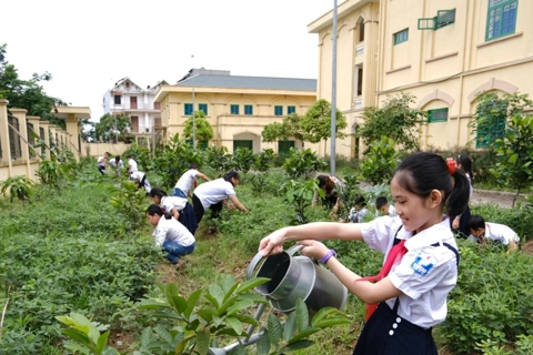 Hanoi takes drastic action against environmental violations