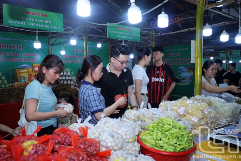 Hanoi and Thai Nguyen strengthen cooperation in trade, investment and tourism