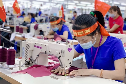 Raw material trading center boosts competitiveness of Vietnamese footwear industry
