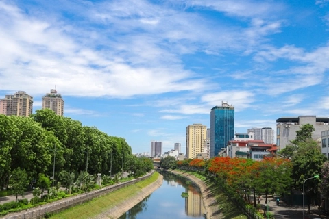 Red blossoms light up Hanoi's river