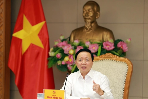 Vietnam urges direct purchase for more types of electricity