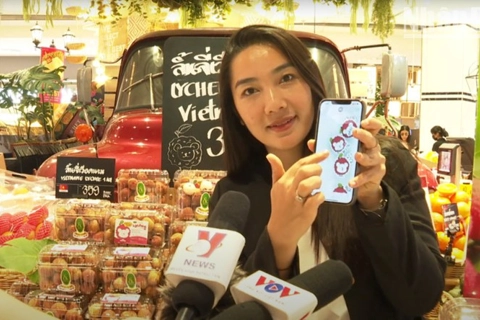 "Best lychees from Vietnam” campaign launched in Thailand