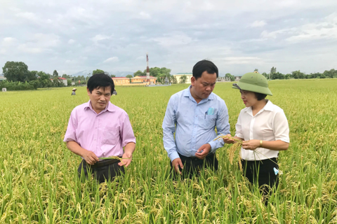 Hanoi expands supply chain model of agricultural product