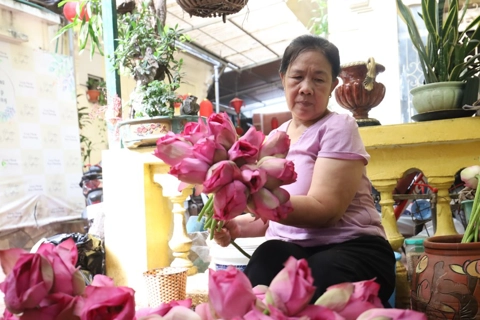 Hanoi Lotus Festival cultural activities ready