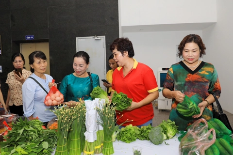 Hanoi promotes women's role in safe agri-food trade