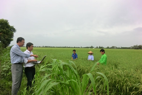 Australia’s support helps Vietnam promote sustainable agriculture