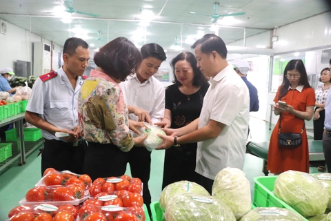 Consumers urged to boycott unsafe foods