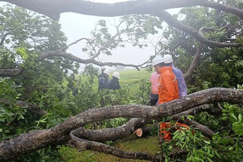 EVNHANOI to maintain power supply during super typhoon 