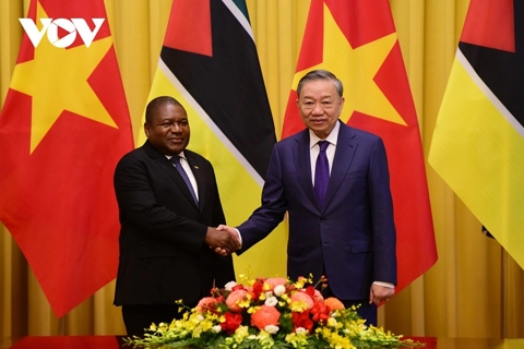 Vietnam, Mozambique to strengthen relations in all fields