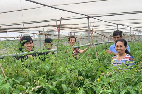 Hi-tech farms to drive Hanoi’s agricultural growth