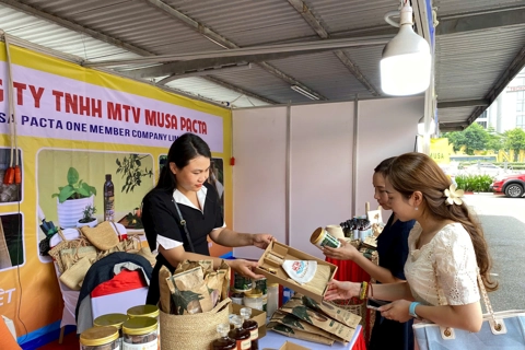 Hanoi businesses adopt green practices as consumer demand grows