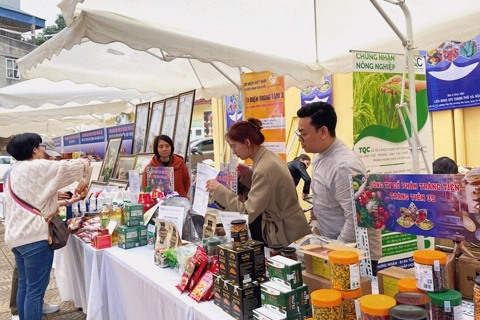 Hanoi Agriculture Fair 2024 underway