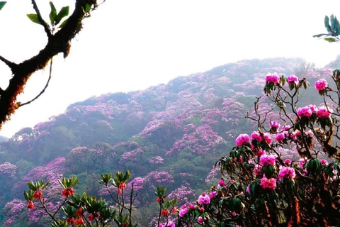 Vietnam news in brief - October 10