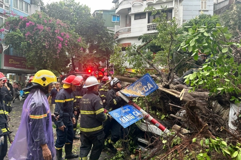 Hanoi mayor urges mobilized forces to overcome aftermaths of storm