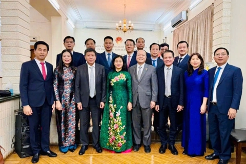 Hanoi promotes all-round cooperation with Cairo