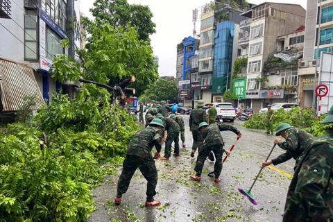 Hanoi to have no overlap between greenery and underground infrastructure 