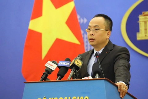 Vietnam to study BRICS statute: Spokesman