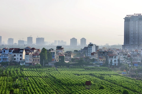 Capital Law 2024 enables Hanoi's sustainable agricultural growth