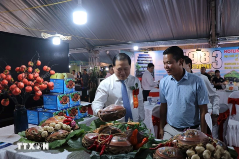 Vietnam news in brief - November 20