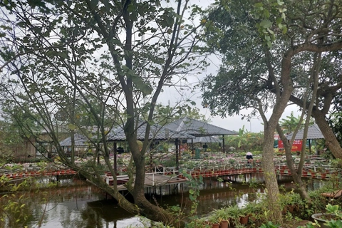 Effective development of urban agriculture on Hanoi's outskirts