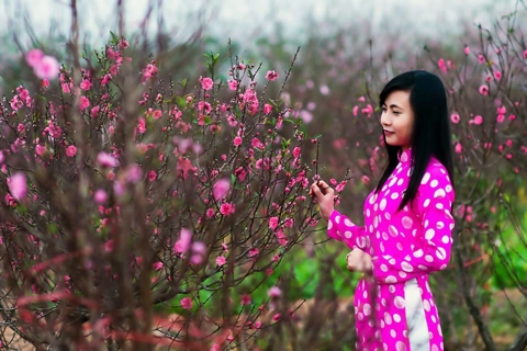 Hanoi's flower villages are in full Tet preparation mode