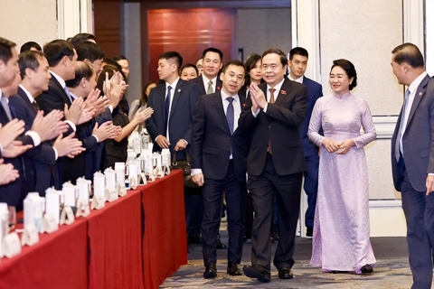 Overseas Vietnamese in Singapore advance bilateral relations