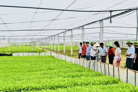 Vietnam prioritizes agriculture and renewable energy for access to green loans  