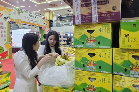 Green products to be focus of Vietnam's trade promotion in 2025