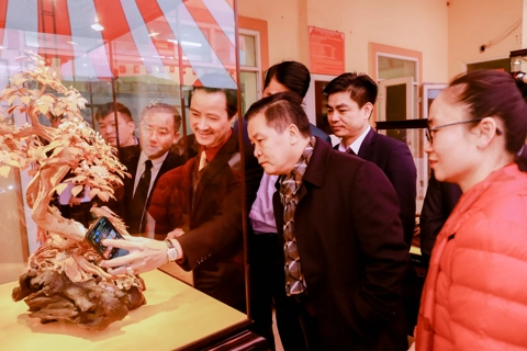 “Essence of Van Ha Wooden Crafts” Tourism Week opens